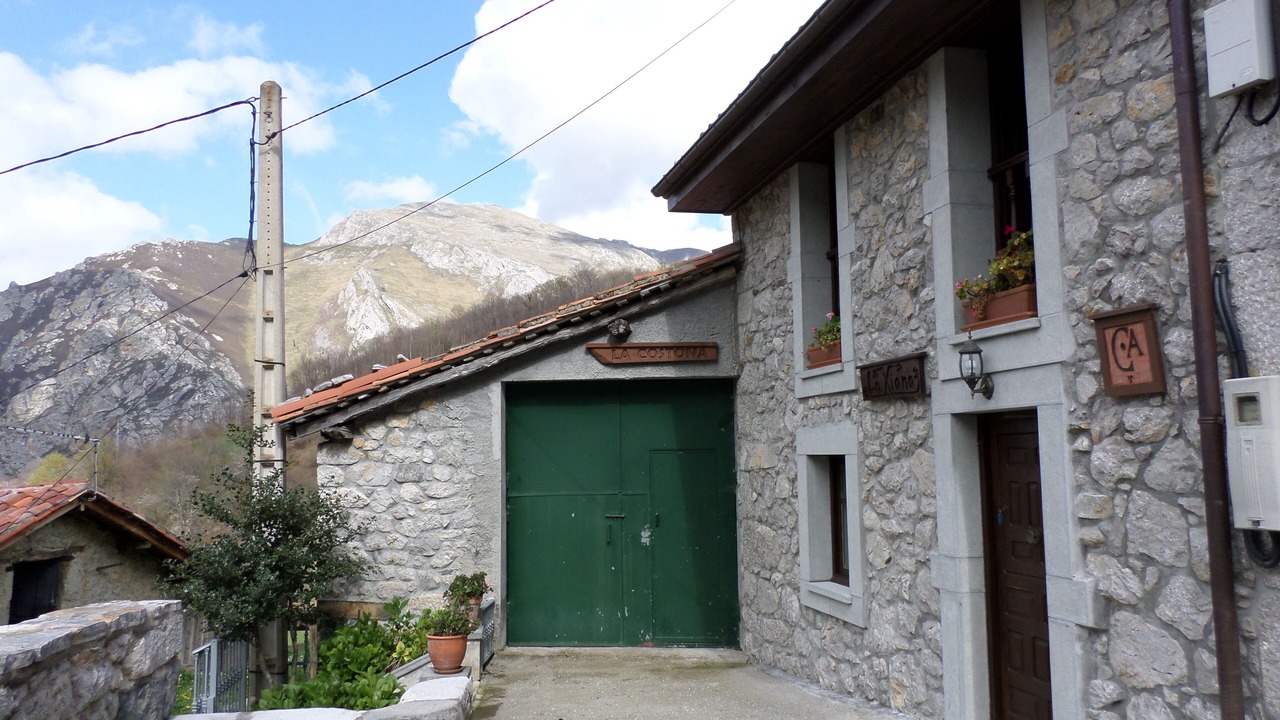 Photo of Outdoor in Ponga