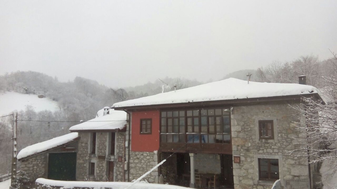 Photo of Outdoor in Ponga