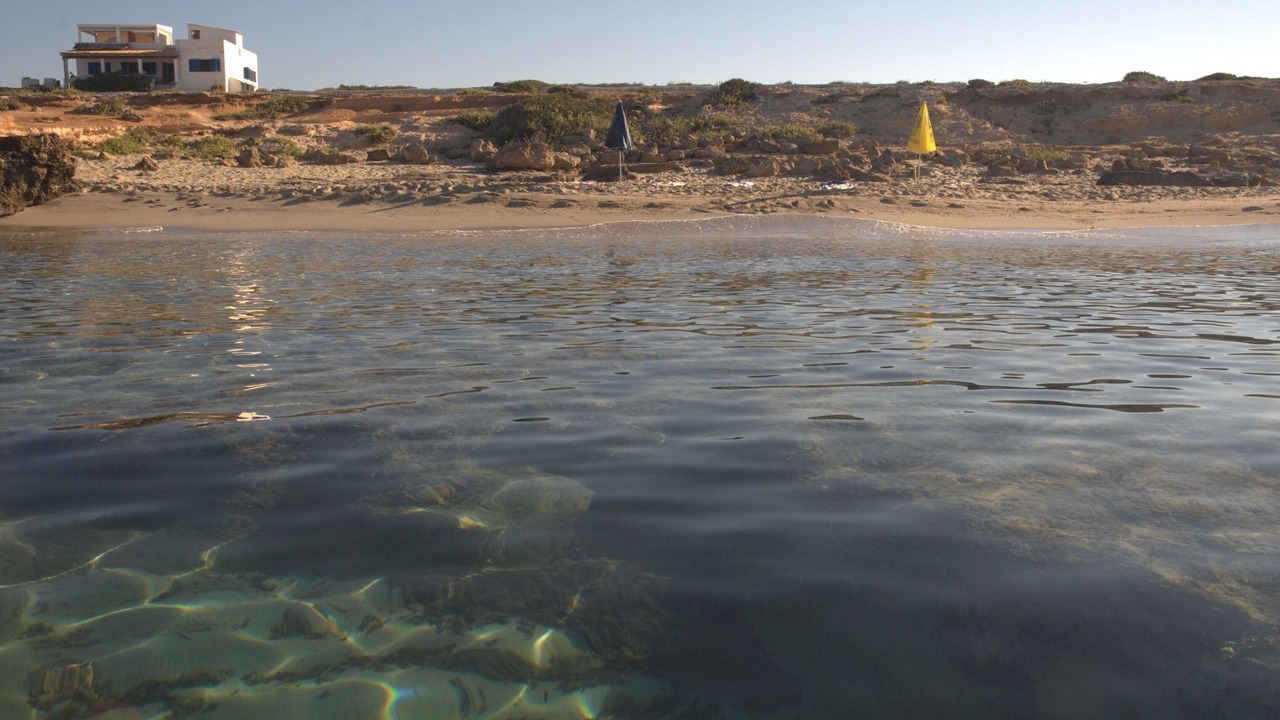 Photo of Others in Formentera
