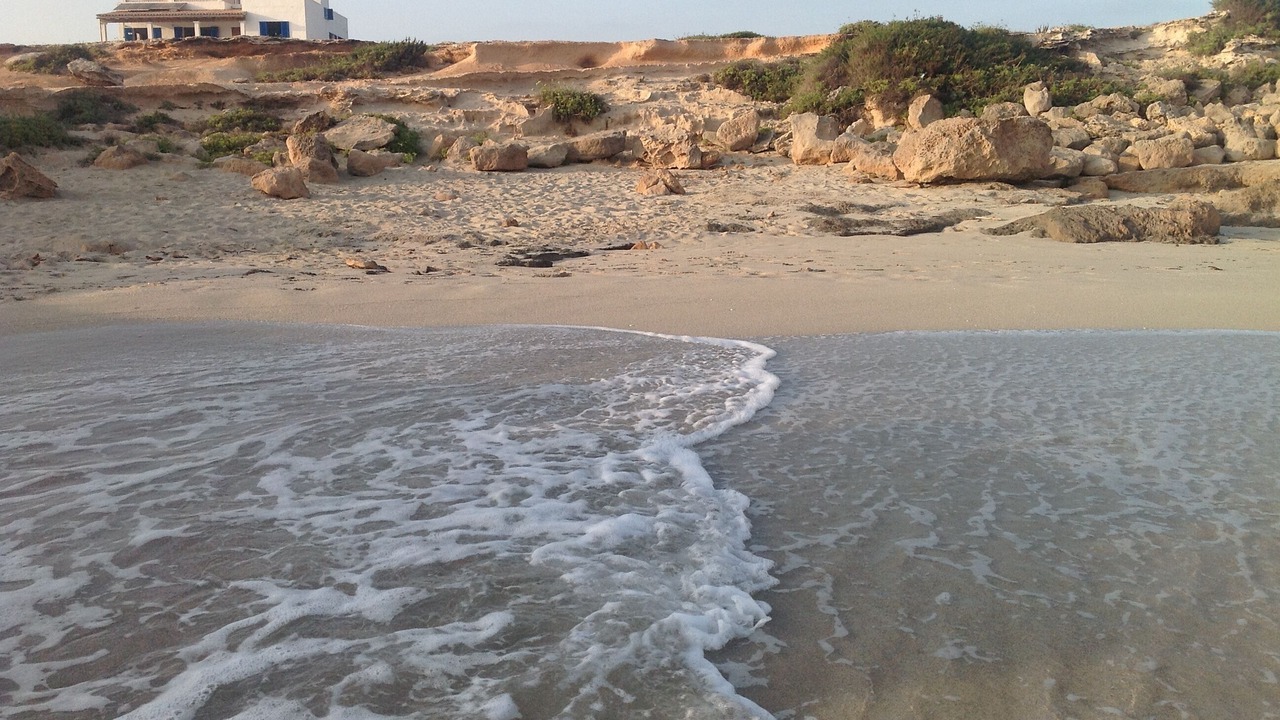Photo of Others in Formentera