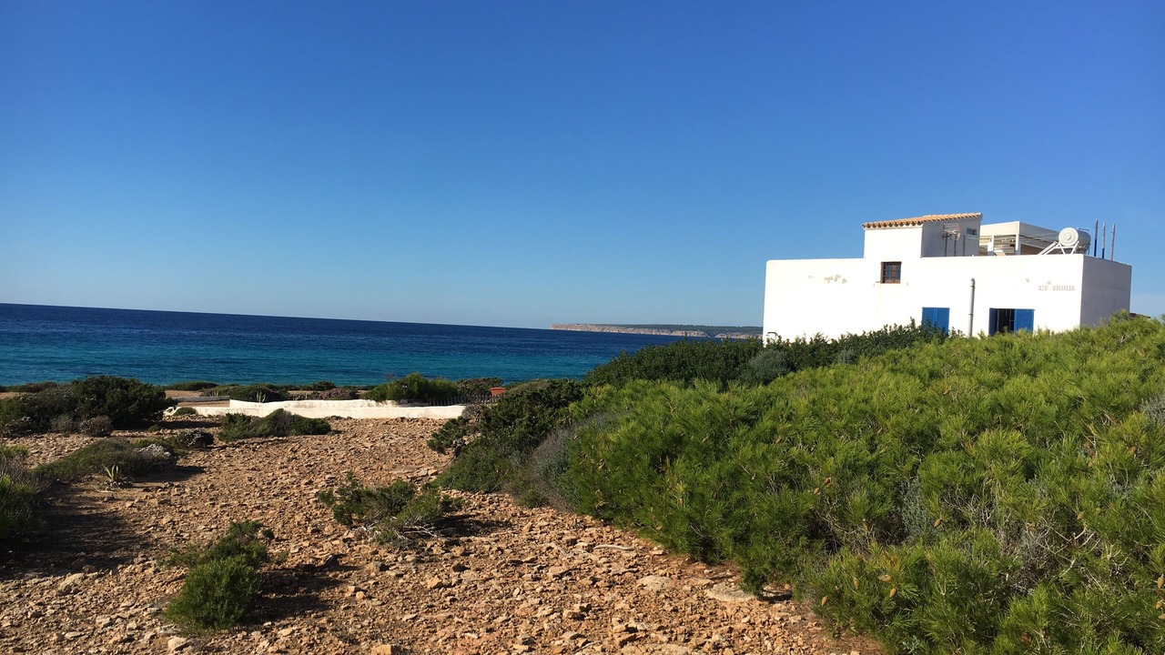 Photo of Others in Formentera