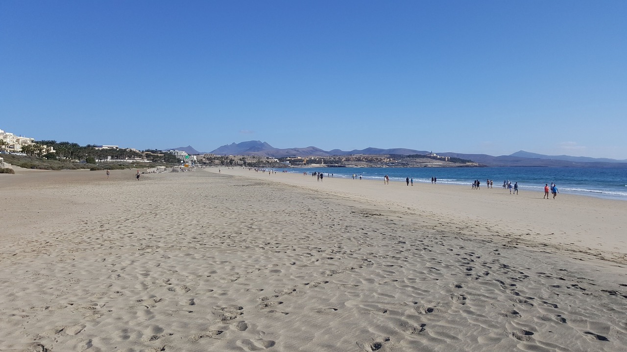 Photo of Others in Bahia Calma
