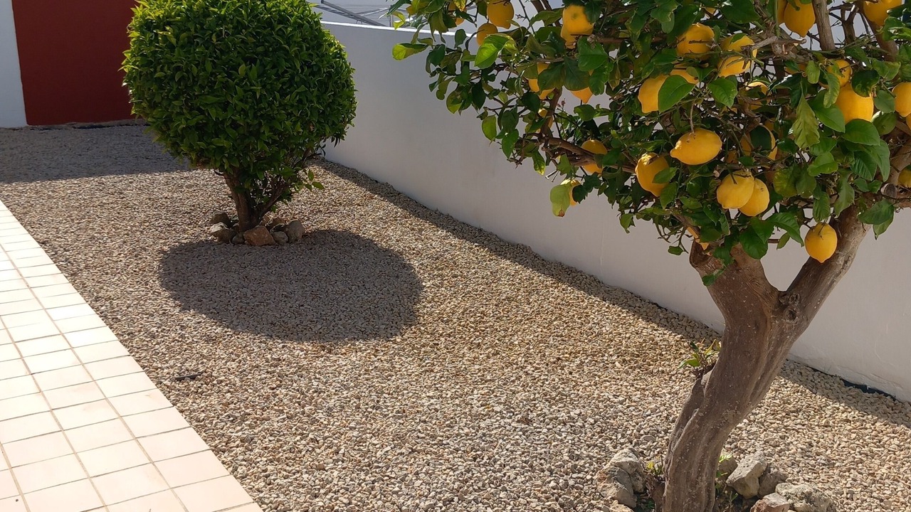 Photo of Outdoor in Cala en Porter
