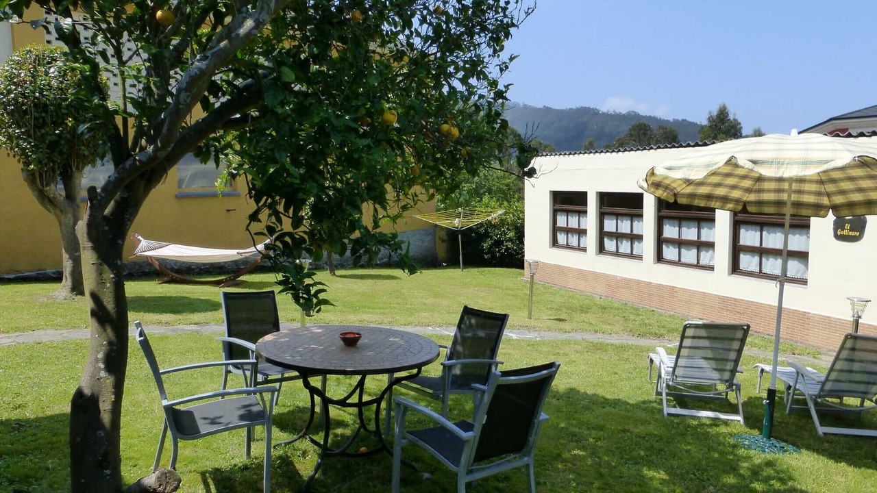 Photo of Outdoor in Coana