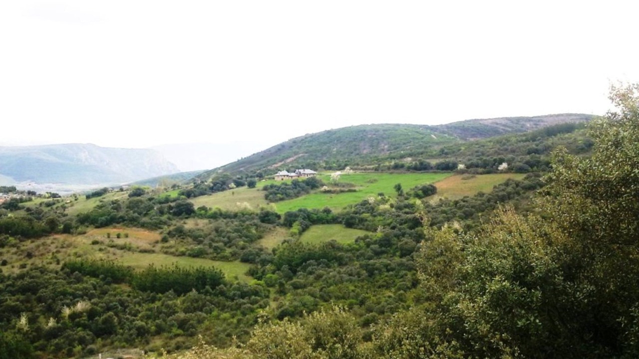 Photo of Others in Carucedo