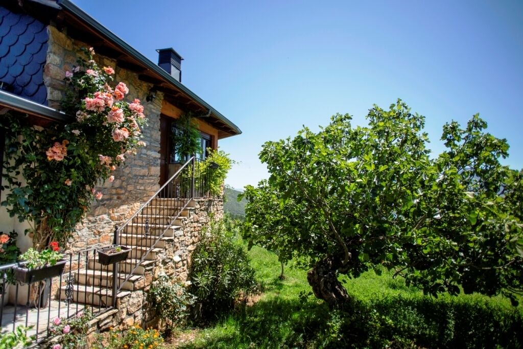 Photo of Outdoor in Carucedo