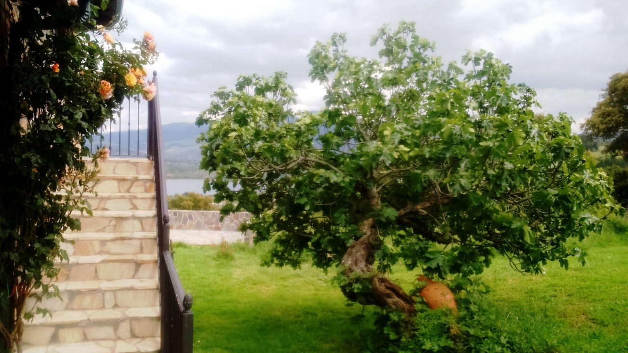 Photo of Outdoor in Carucedo