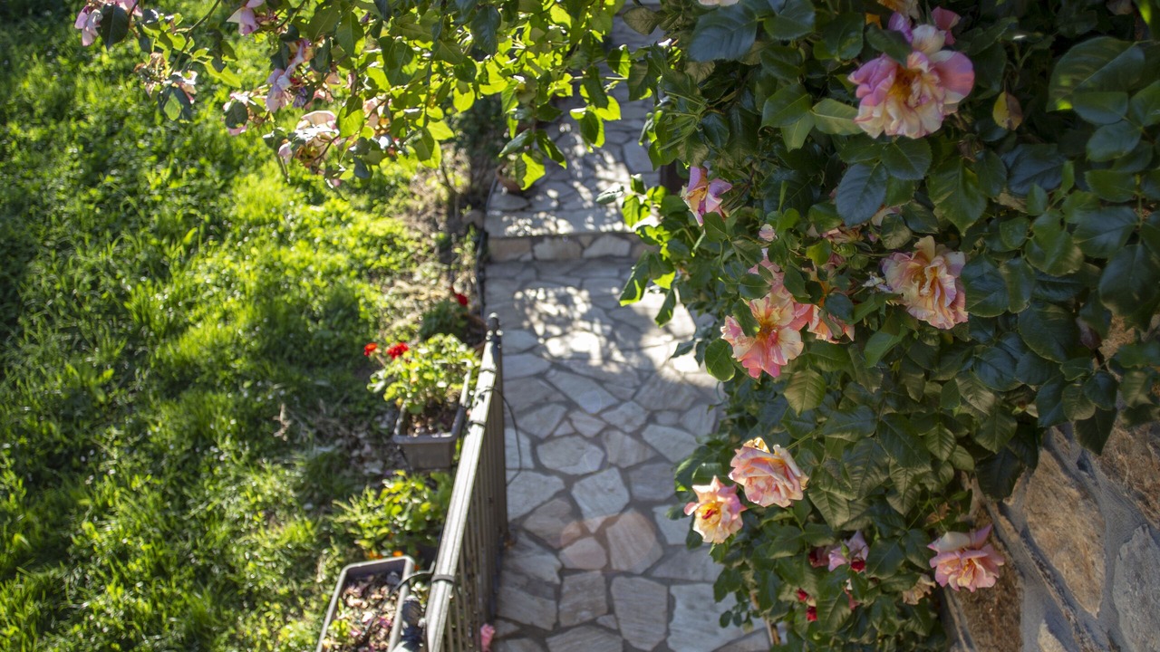 Photo of Outdoor in Carucedo