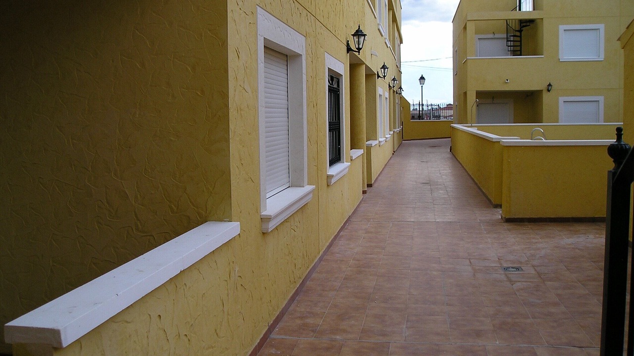 Photo of Others in Palomares