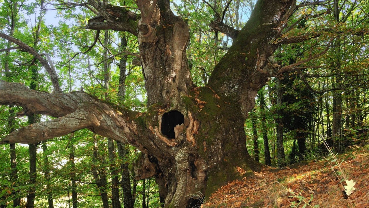 Photo of Outdoor in Cabezuela del Valle