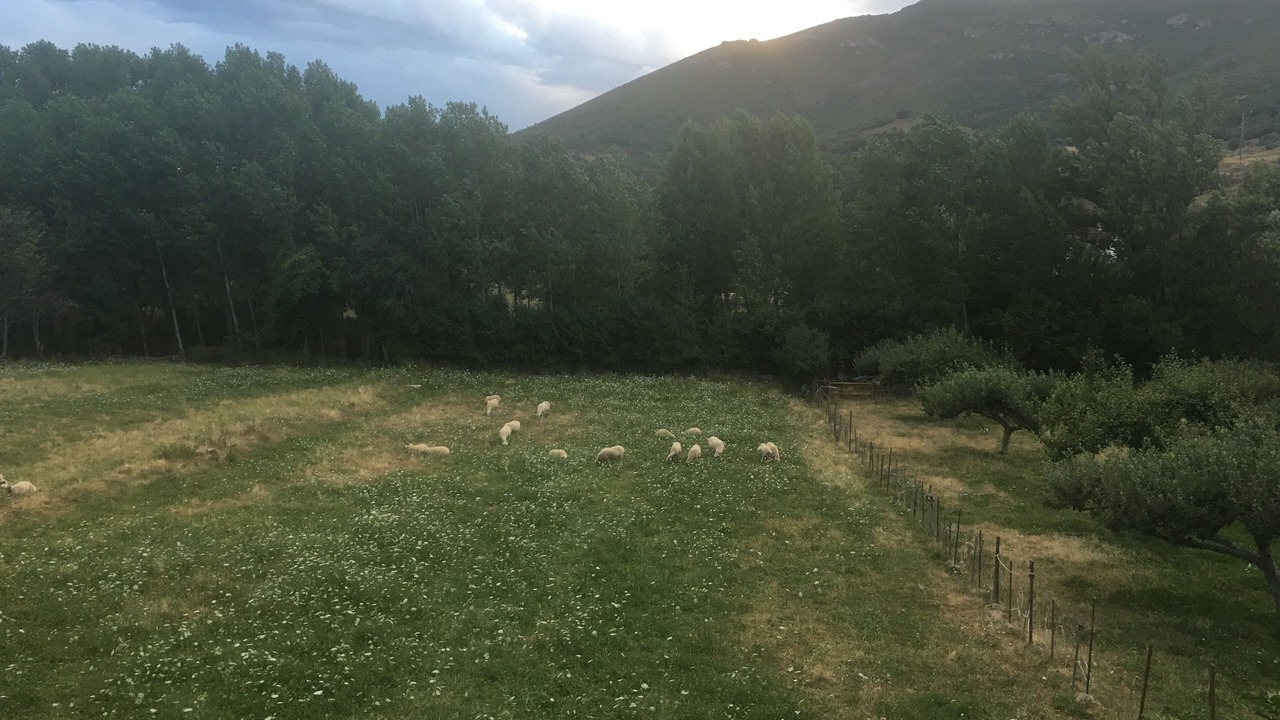 Photo of Outdoor in Ranedo de Curueno