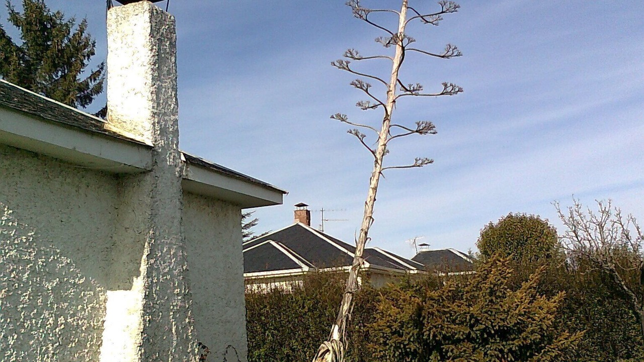 Photo of Outdoor in Villadangos del Paramo