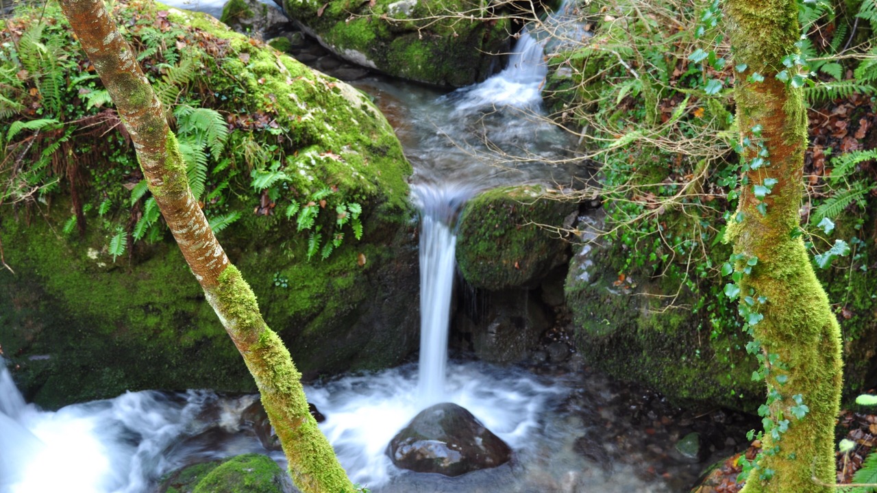 Photo of Outdoor in Taranes