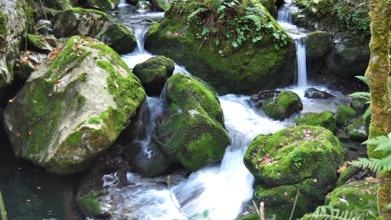 Photo of Outdoor in Taranes