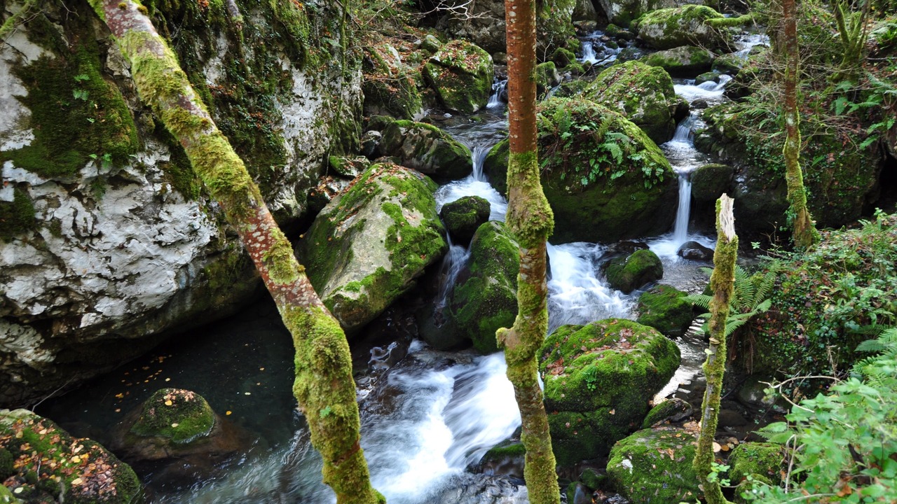 Photo of Outdoor in Taranes