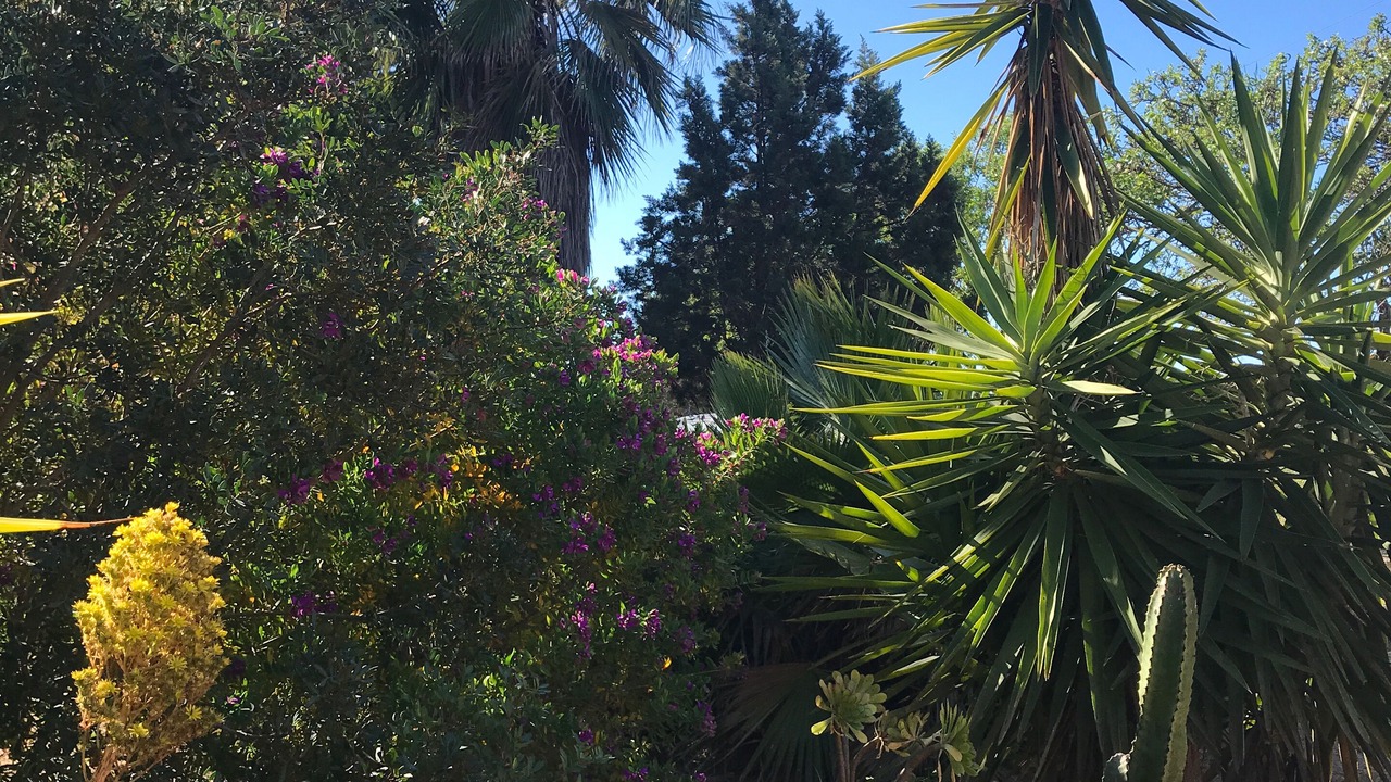 Photo of Outdoor in Sant Josep de sa Talaia