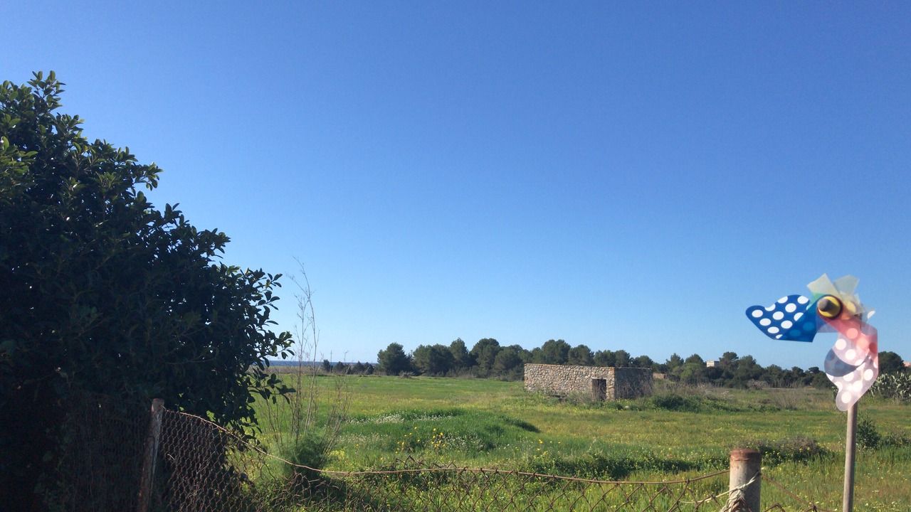 Photo of Others in Sant Josep de sa Talaia