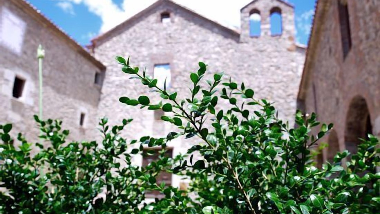 Photo of Outdoor in Santa Coloma de Farners
