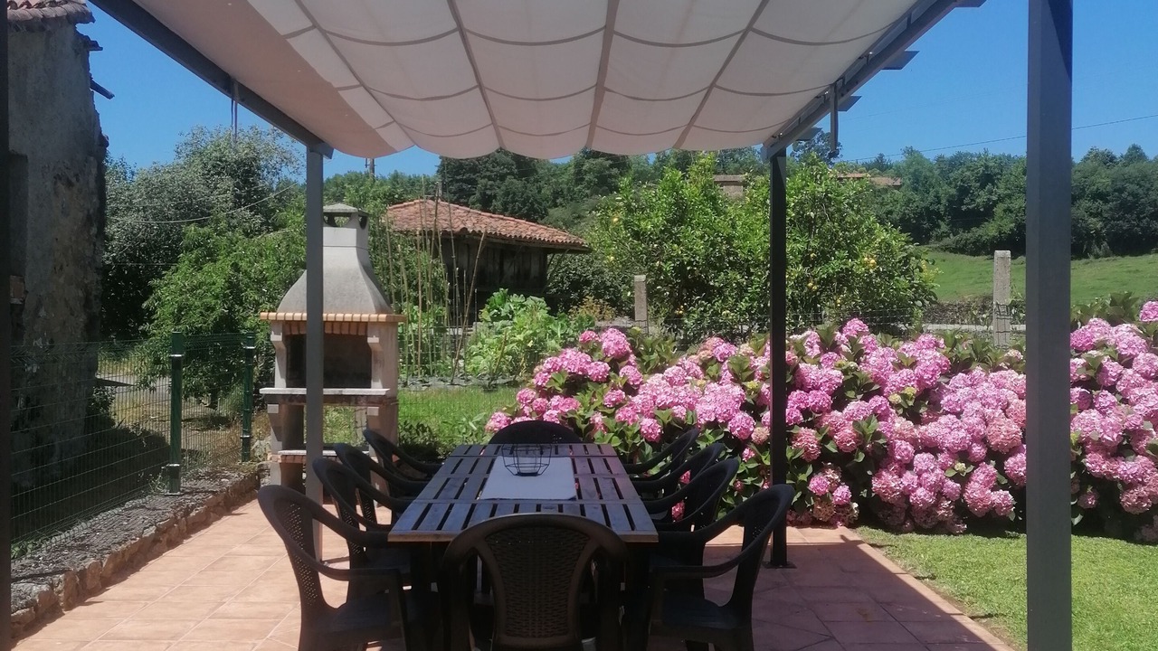 Photo of Outdoor in Colunga