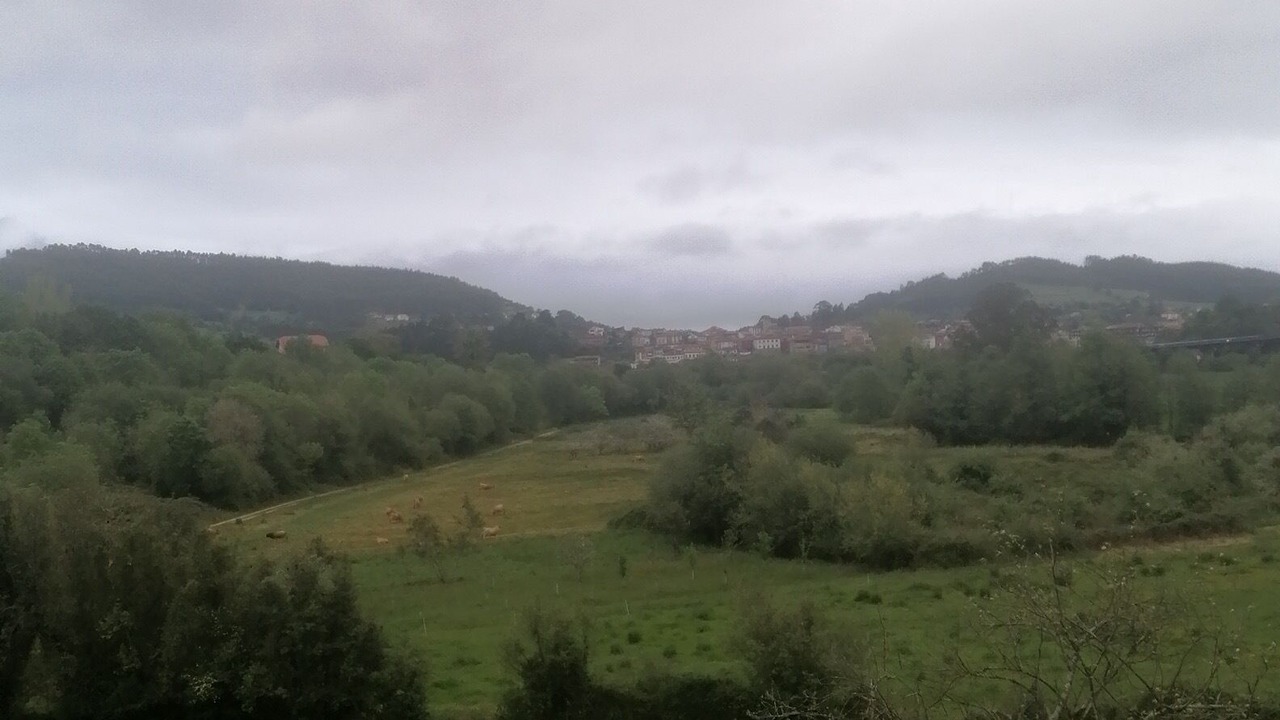 Photo of Others in Colunga