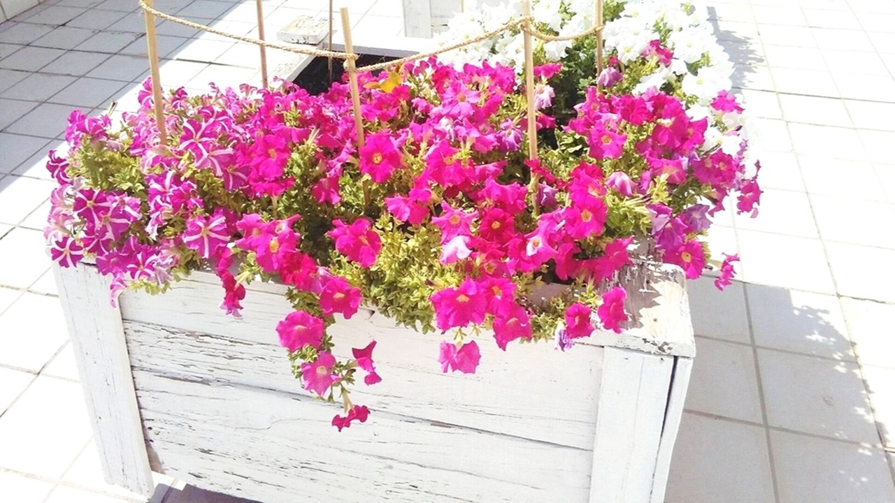 Photo of Outdoor in Tarrega