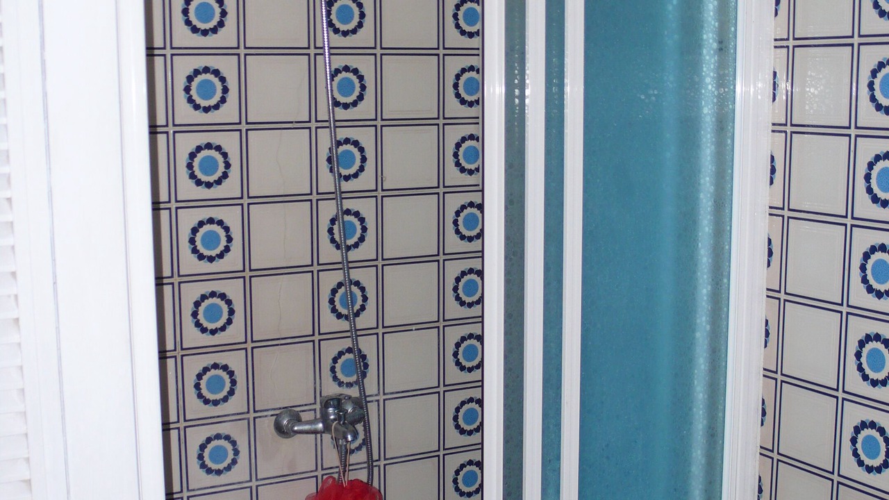 Photo of Bathroom in Los Llanos