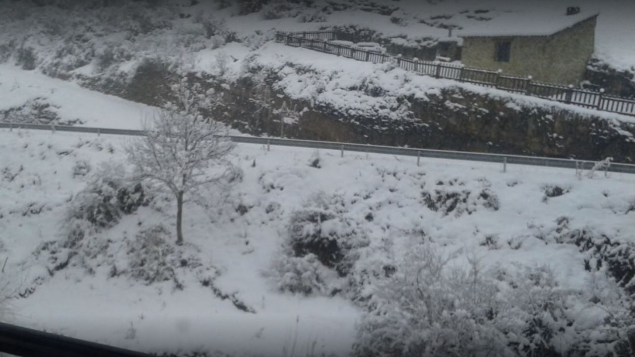 Photo of Others in Bretun