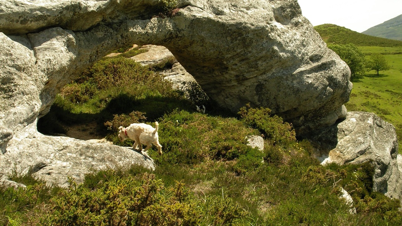 Photo of Outdoor in Bezana