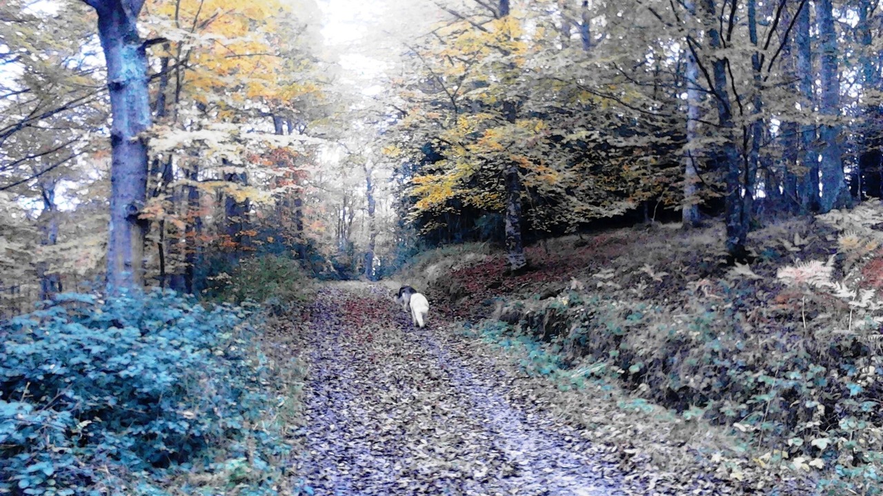 Photo of Outdoor in Bezana