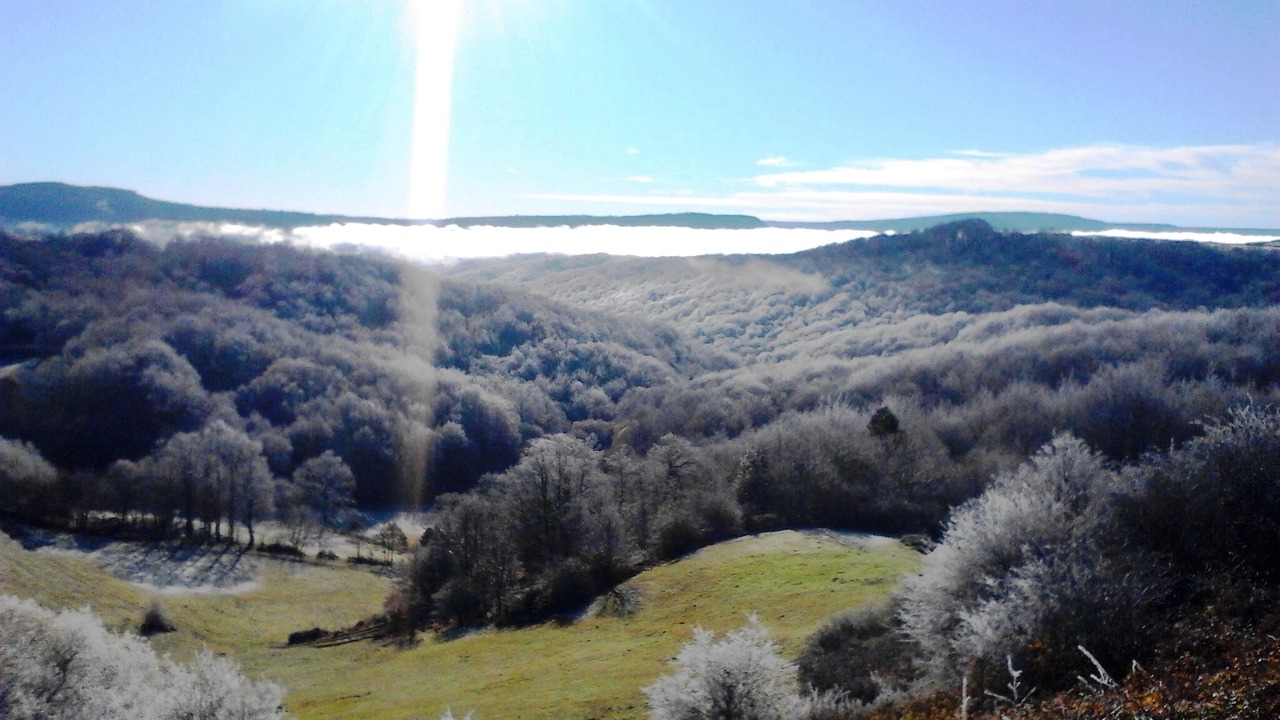 Photo of Outdoor in Bezana