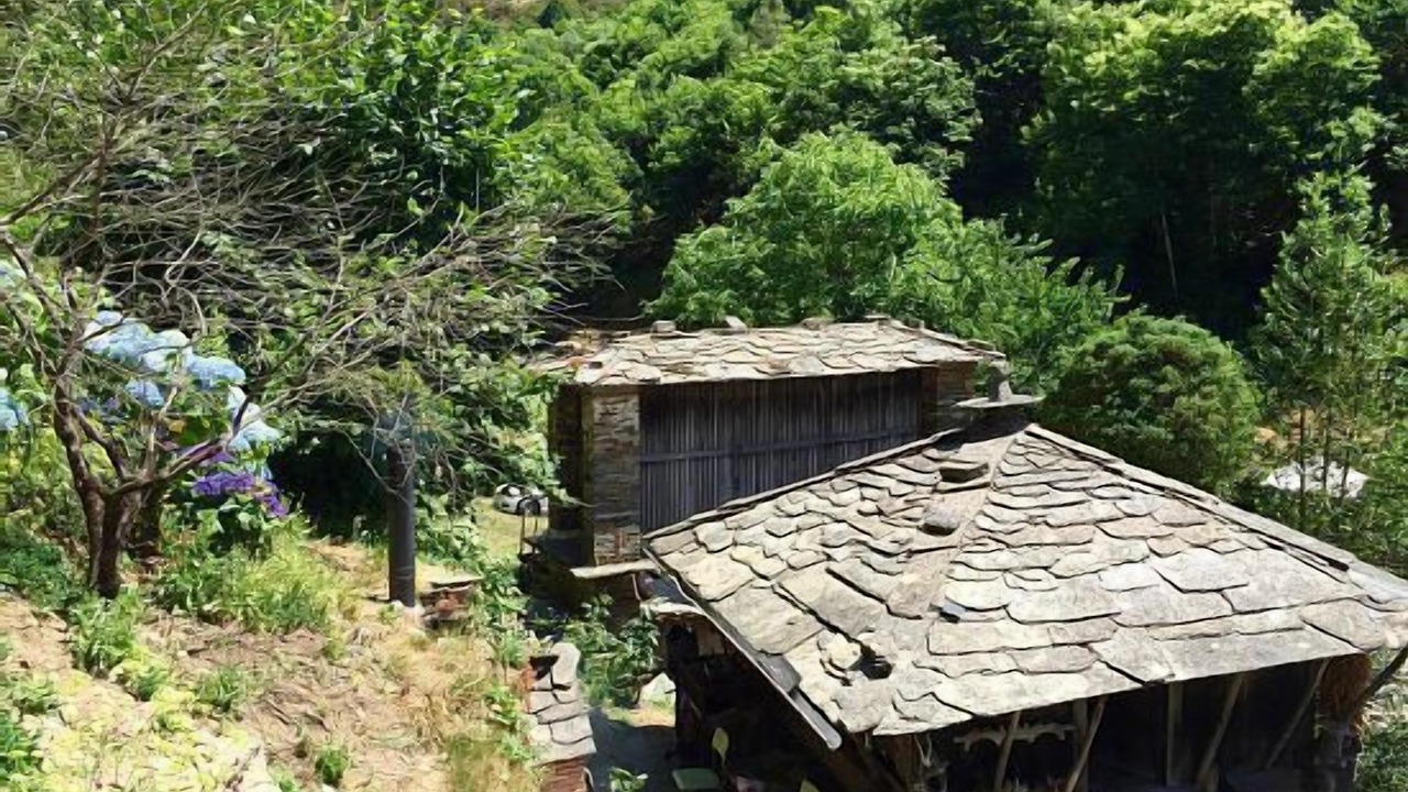 Photo of Outdoor in Aldeguer