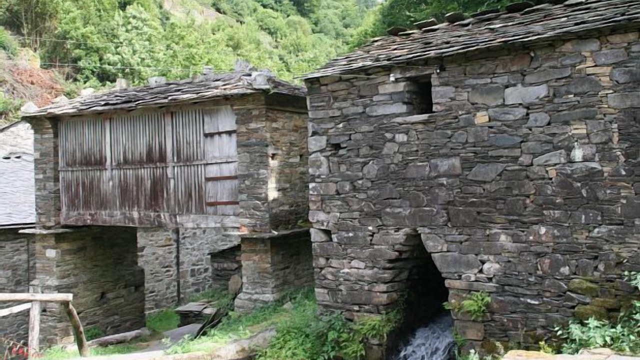 Photo of Outdoor in Aldeguer