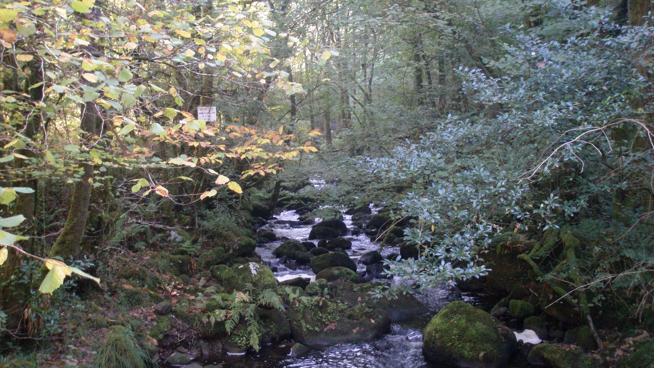 Photo of Outdoor in La Coruna