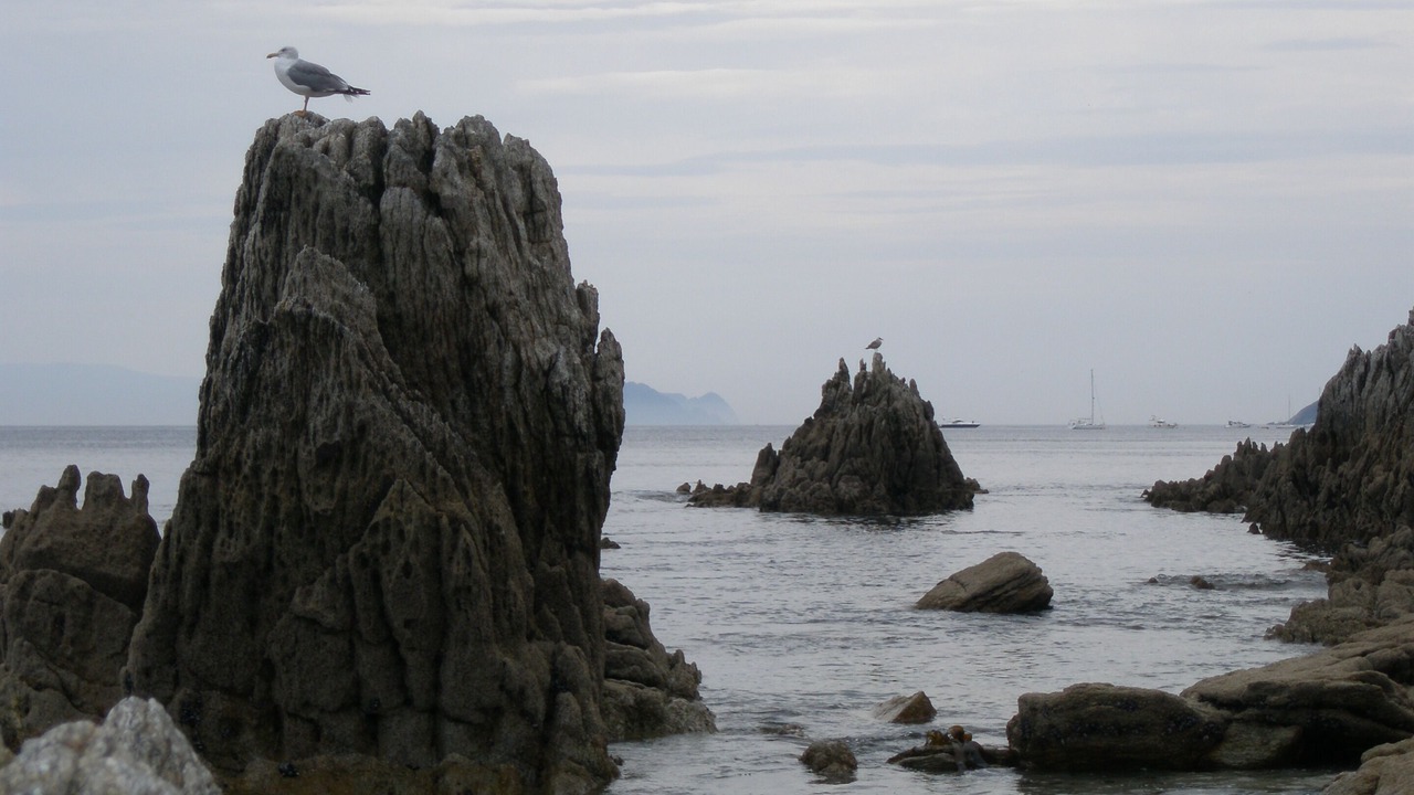 Photo of Others in La Coruna