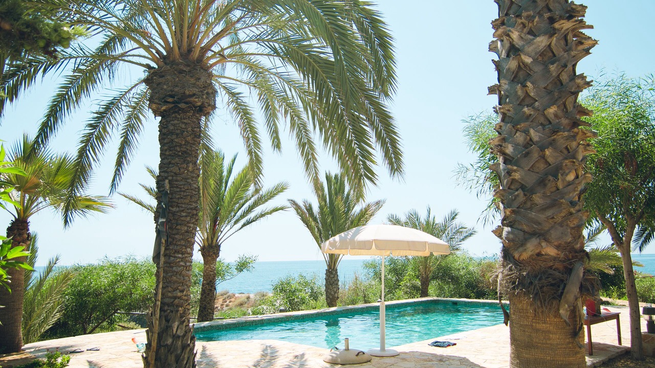 Photo of Outdoor in Cala Panizo