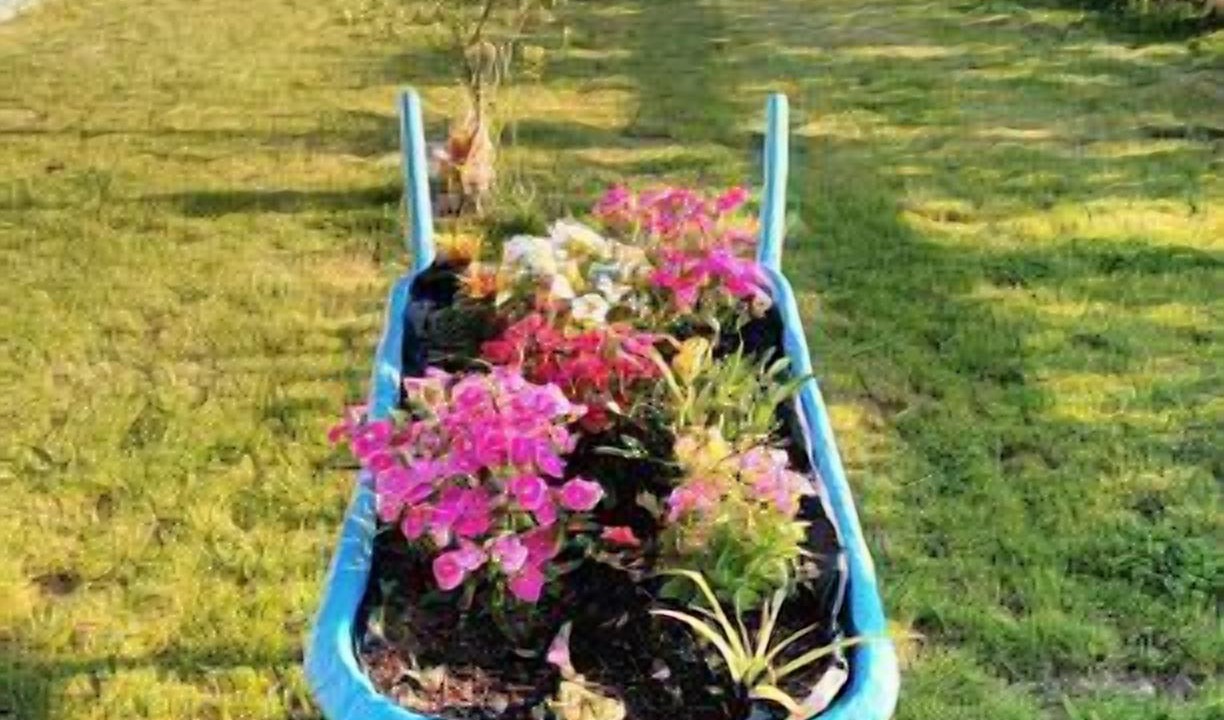 Photo of Outdoor in Jarandilla de la Vera