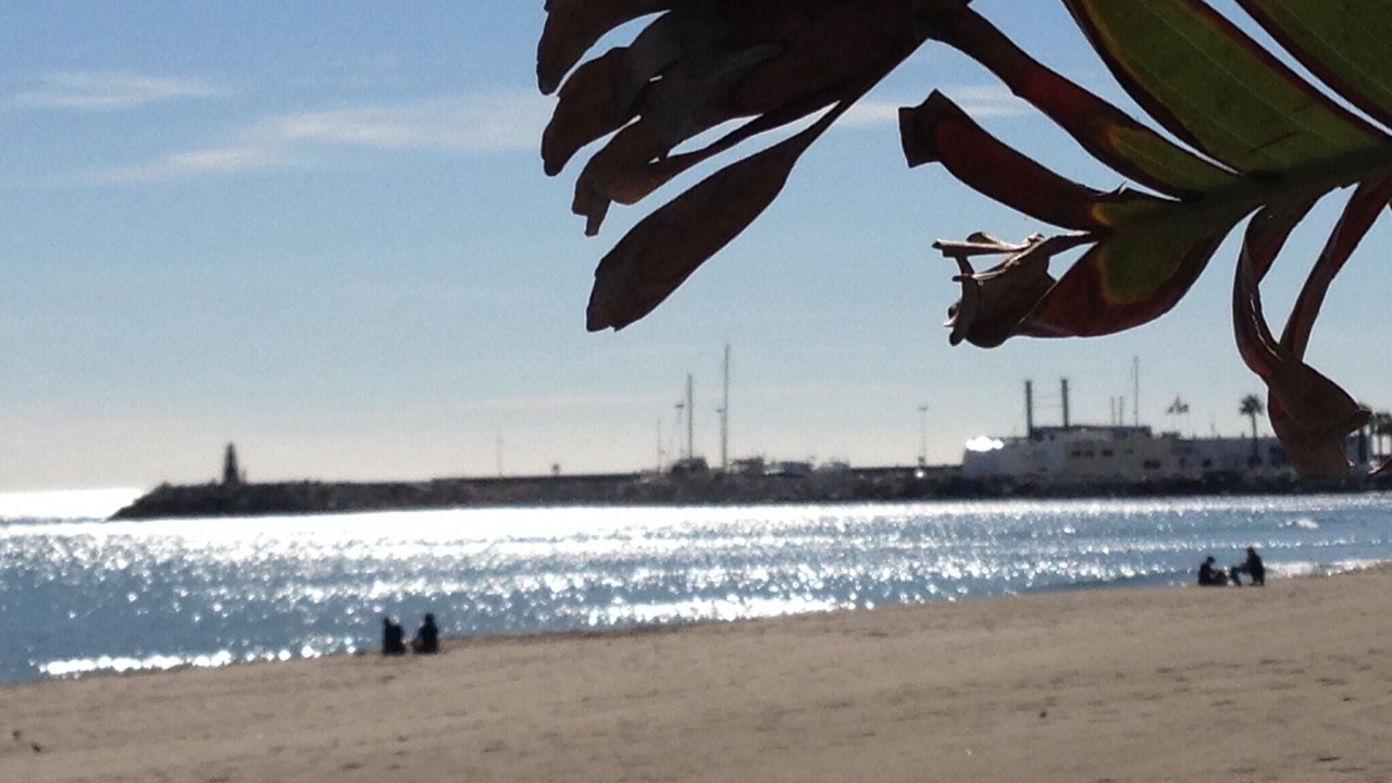 Photo of Others in Carihuela