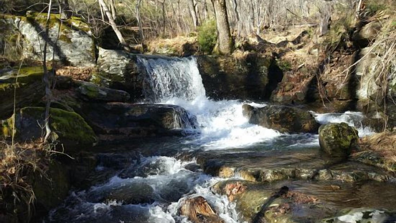 Photo of Outdoor in Zarzuela
