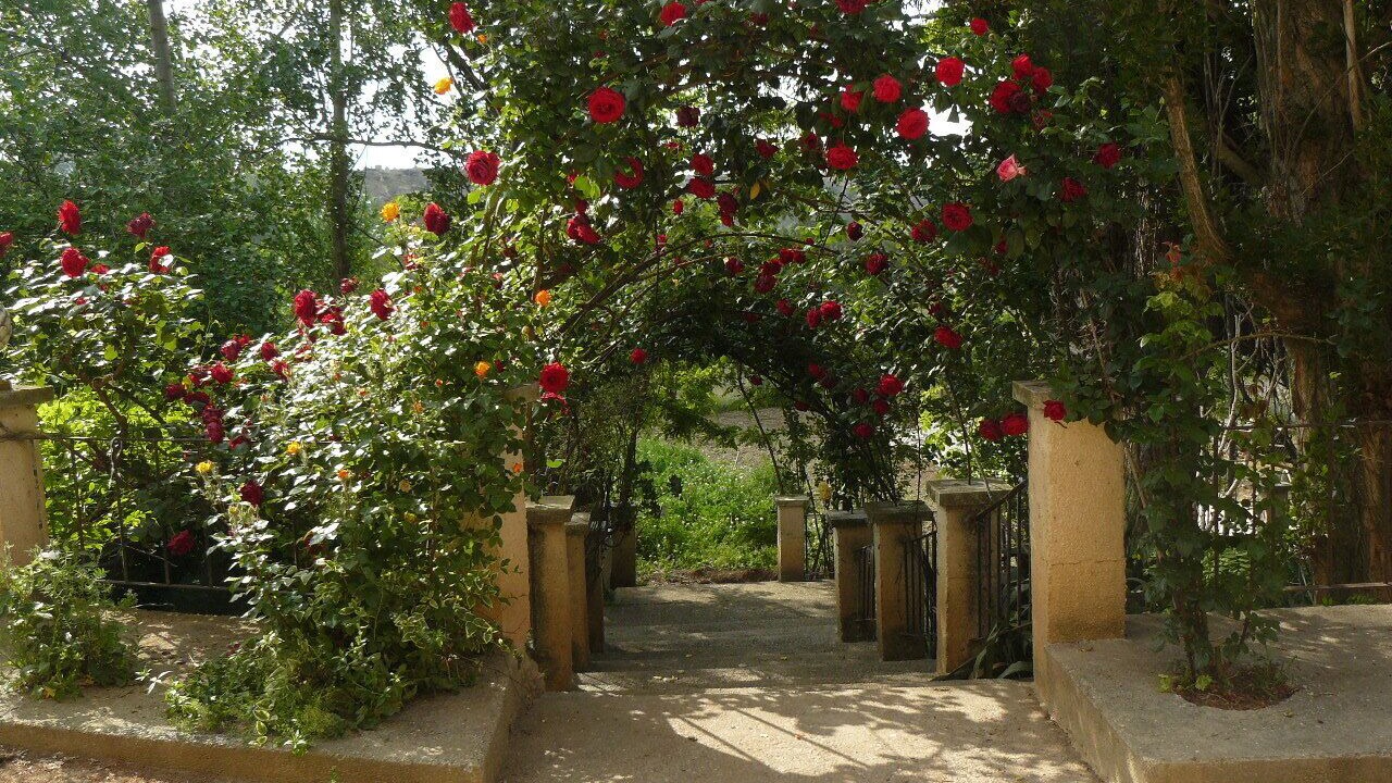 Photo of Outdoor in Ainzon