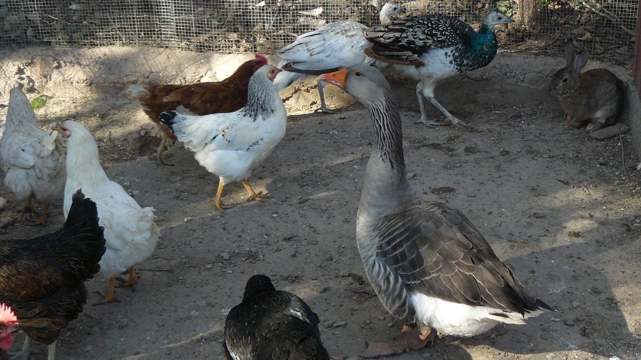 Photo of Outdoor in Ainzon