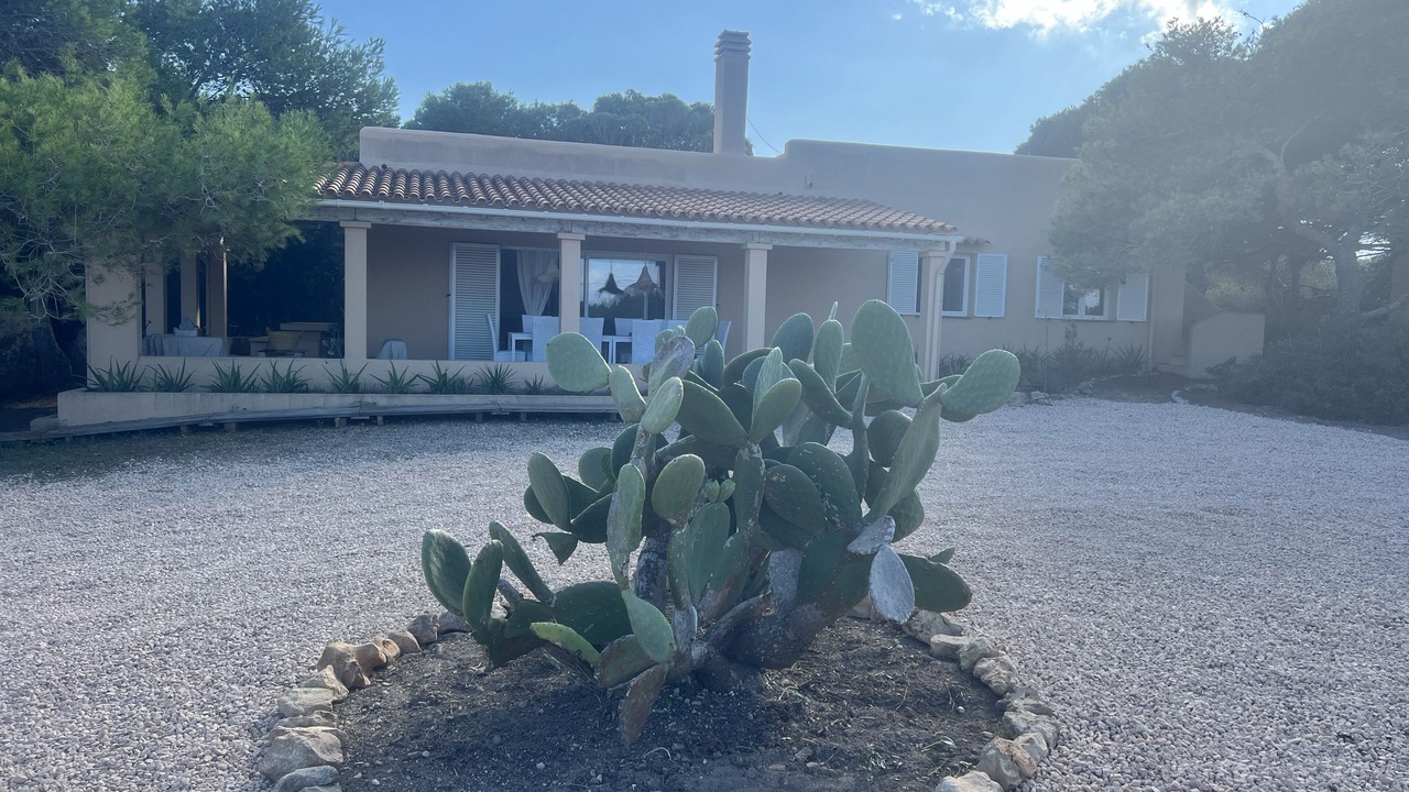 Photo of Outdoor in Formentera