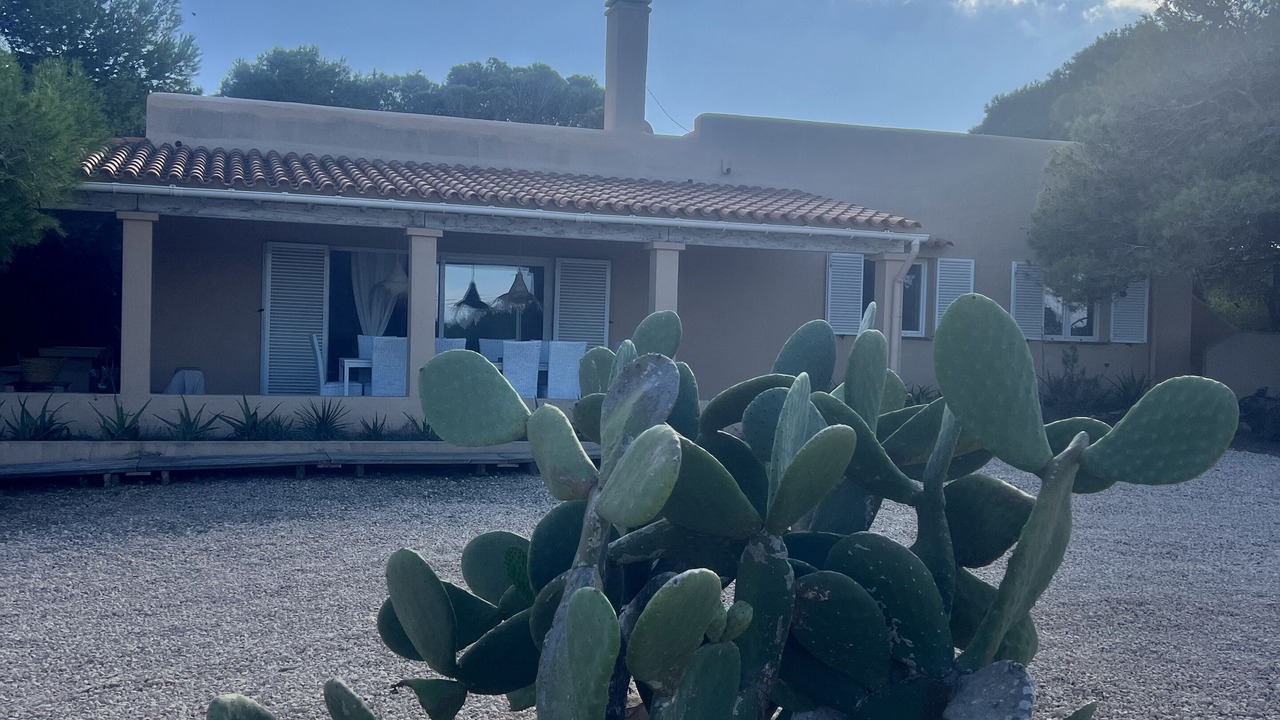 Photo of Outdoor in Formentera