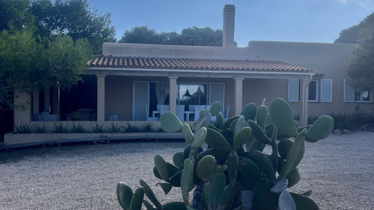 Photo of Outdoor in Formentera