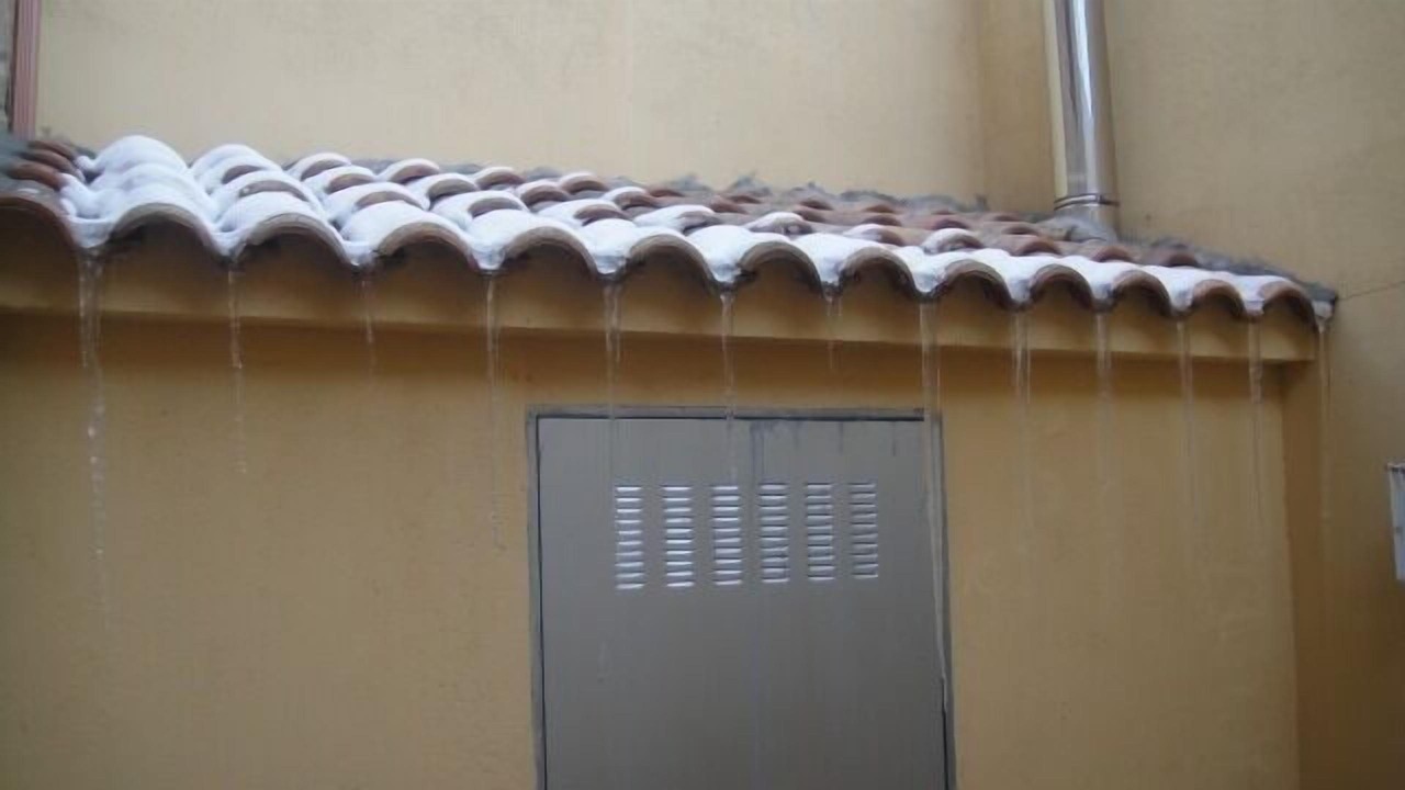 Photo of Others in Canencia