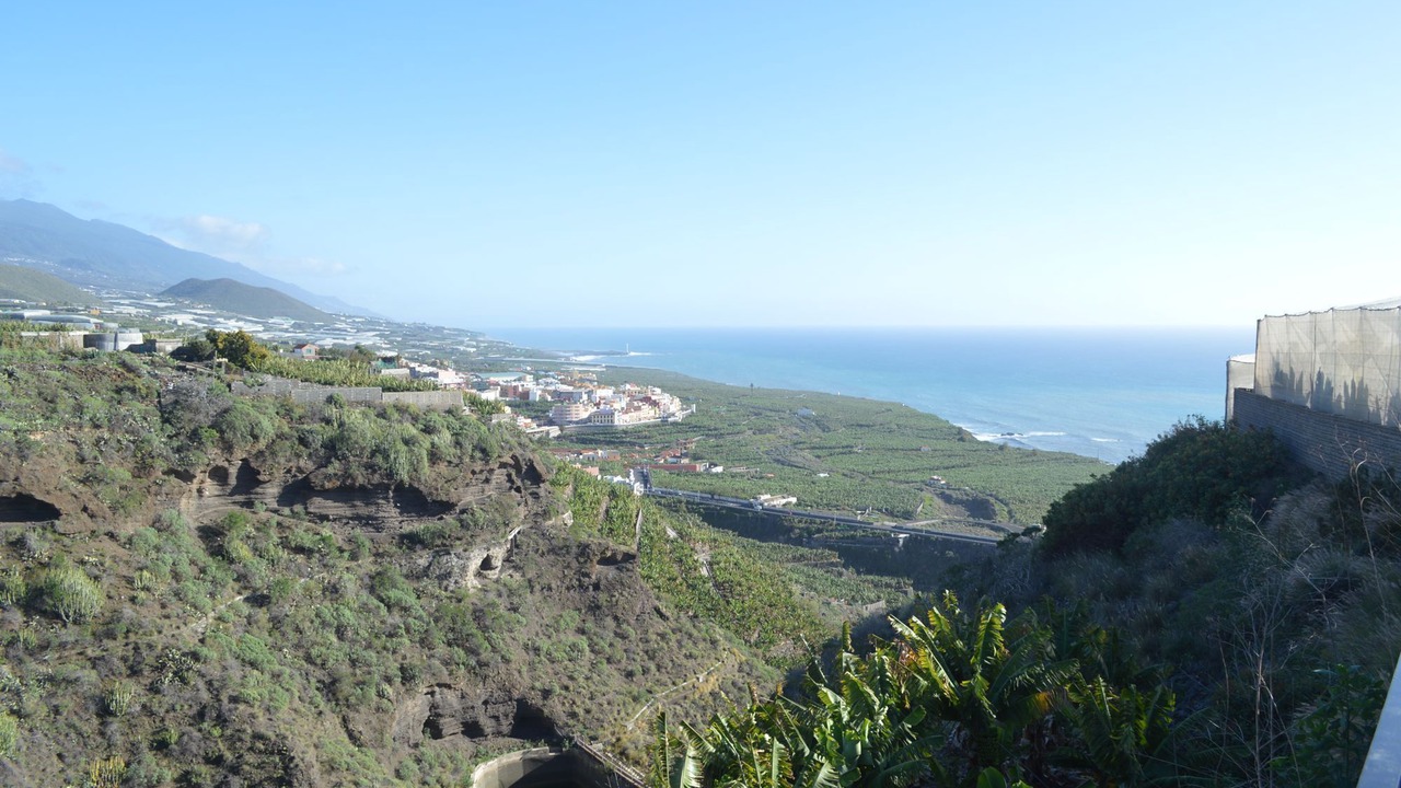 Photo of Others in Tazacorte