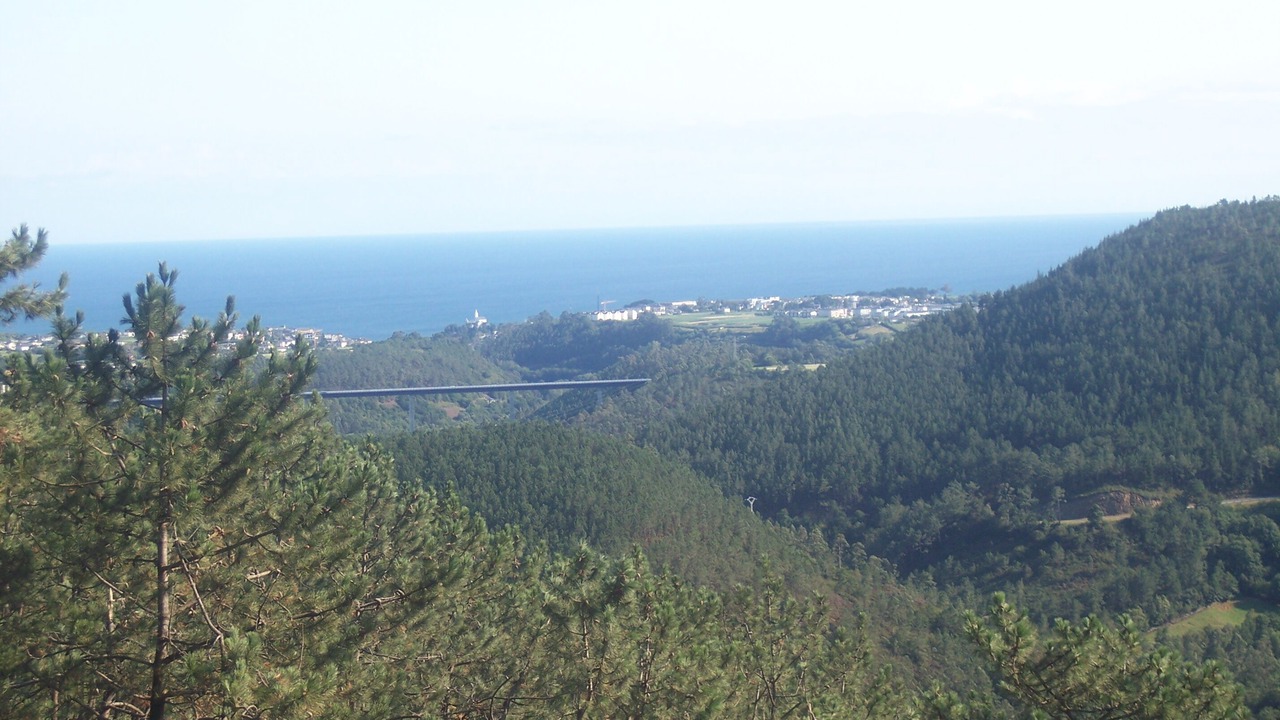 Photo of Others in Luarca