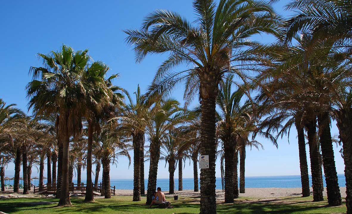 Photo of Others in Carihuela