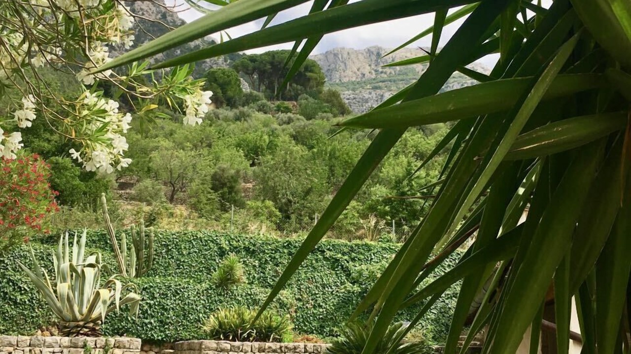 Photo of Outdoor in Biniaraix