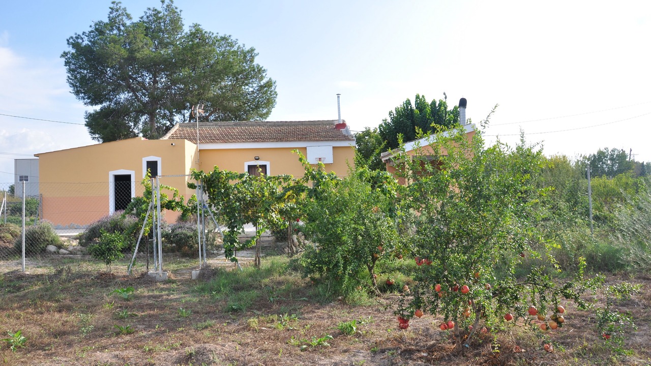 Photo of Outdoor in Orihuela