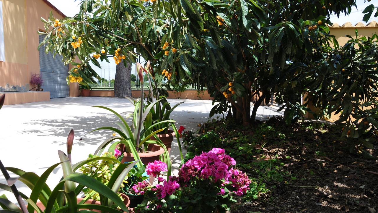 Photo of Outdoor in Orihuela
